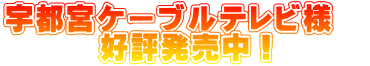 $B1'ET5\%1!<%V%k%F%l%SMM!!(B $B9%I>H/GdCf!*(B