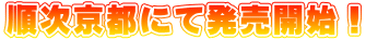 $B=g<!5~ET$K$FH/Gd3+;O!*(B